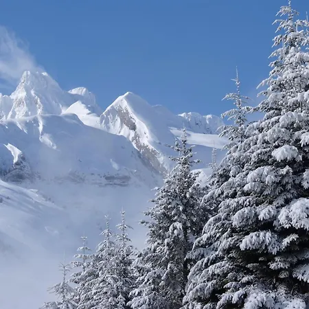 Residencial La Moleta *