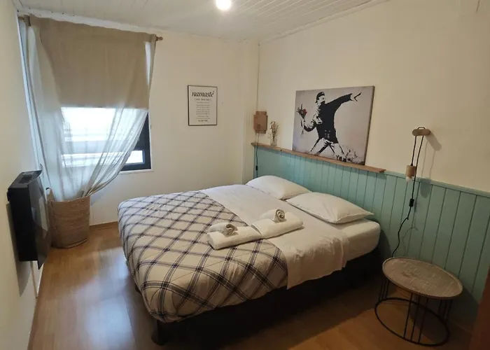 Residencial La Moleta Apartament Candanchú